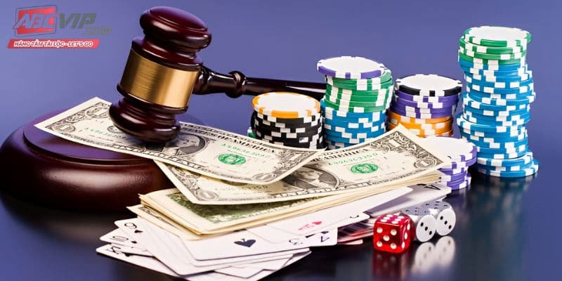 Chấp hành quy định & điều khoản