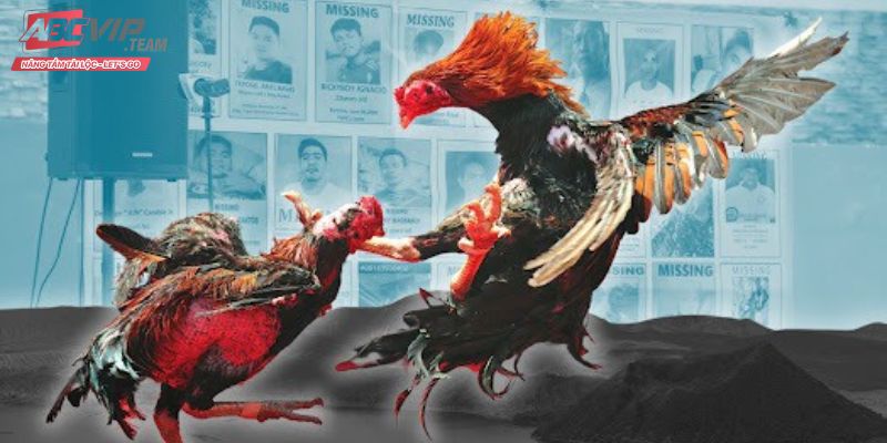 Thế mạnh của sảnh đá gà 88CLB